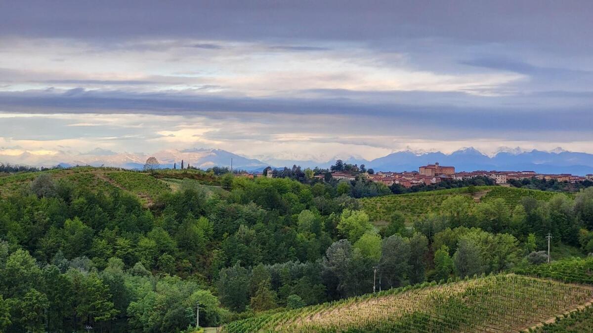 Castagnole MonferratoButa - Vino, Colline E Tramonti Mozzafiato公寓 外观 照片